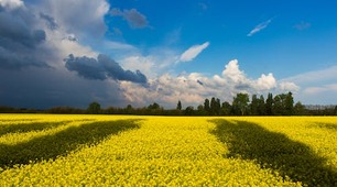 Україні Марко Лукинюк