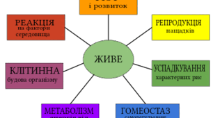 6 клас НУШ - Діагностична робота "Організм жива система"