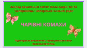 Заняття з конструювання "Чарівні комахи"