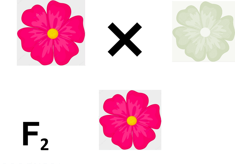 0600o4vo-b5c4-940x666.png