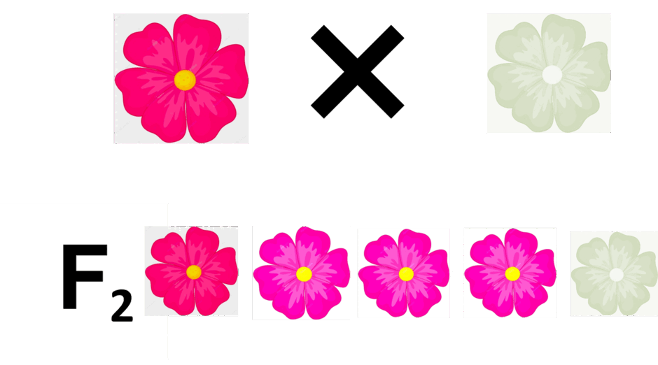 0600o4zh-78aa-940x522.png