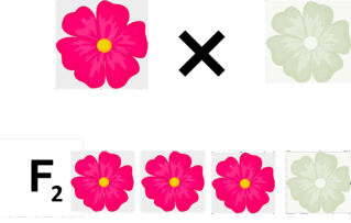 0600o4zs-f022-319x203.png