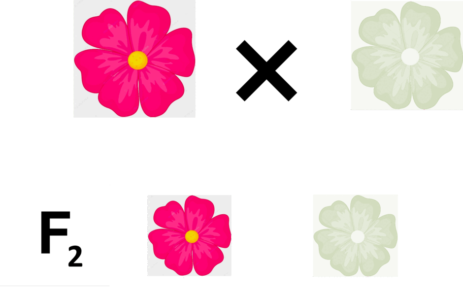 0600o51m-ed4a-940x599.png
