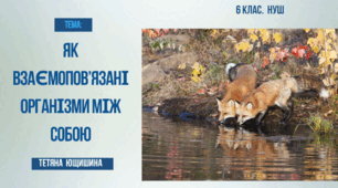 Презентація. 6 клас. Як взаємопов'язані організми між собою.