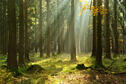 0600oa87-e9e9-126x84.jpg