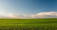 0600oalk-cc4a-201x106.jpg