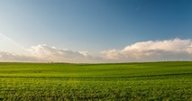 0600oalk-cc4a-201x106.jpg