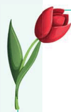 0600oem6-f83d-141x224.png