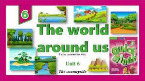 Quick Minds 4 - The world around us( Unit 6 ) Test