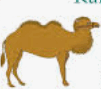 0600oh93-7195-101x89.png