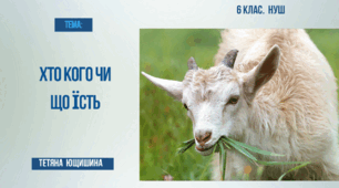 Презентація. 6 клас. Хто кого чи що їсть.(Ланцюги живлення)
