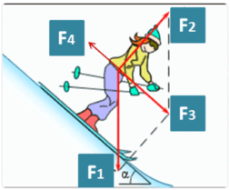 Quiz image