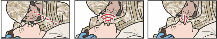 0600oowa-093a-731x134.png