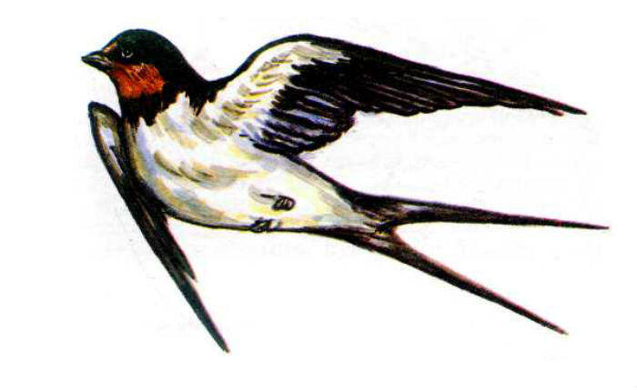 0600or8y-0f69-700x429.jpg