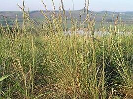 0600orhp-dd4f-270x202.jpg