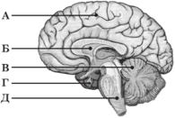 0600orjj-82cc-195x131.png