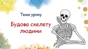 Презентація до теми "Будова скелету людини". Біологія. 8 клас.