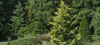 0600ouck-4c68-338x154.jpg