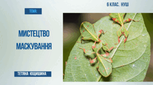 6 клас. Презентація.Як організми пристосовуються уникати зустрічі з ворогами або захищатись від них. (Що таке мистецтво виживання)