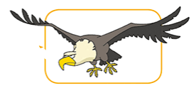 0600ozwy-5130-276x124.png