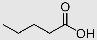 0600p258-18f1-372x155.png