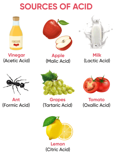 0600p29c-8877-375x497.png