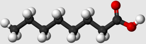 0600p2a6-f30d-468x142.png