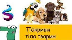 Лабораторне дослідження особливостей покривів тіла тварин