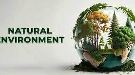  Nature and the environment Grammar Test