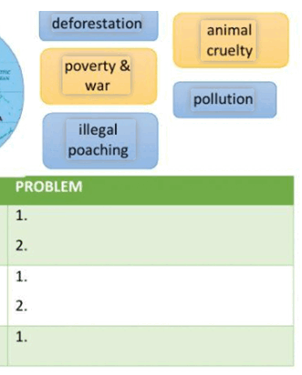 0600plbh-5bcc-331x412.png