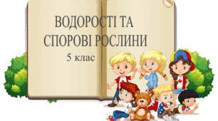 Практична робота "Водорості та спорові рослини"