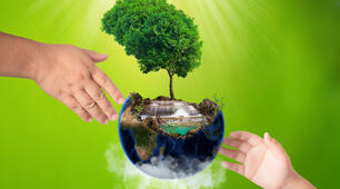 Nature and the environment Lexical Test