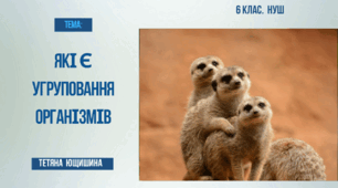 Презентація.6 клас. Які є угруповання організмів