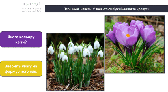 0600pyr0-3fee-582x319.png