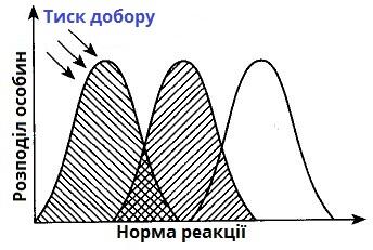 0600pzov-9874-344x231.jpg