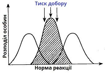 0600pzoz-ca5c-340x235.jpg