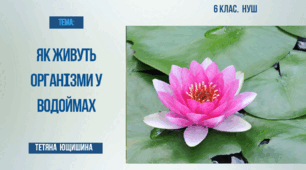 Презентація. 6 клас. Як живуть організми у водоймах.