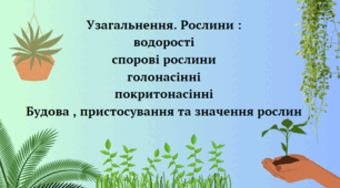 Рослини. Узагальнення