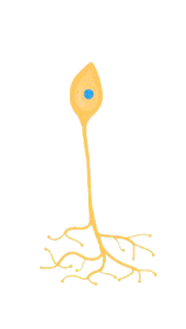 0600qd7i-19b7-186x329.png