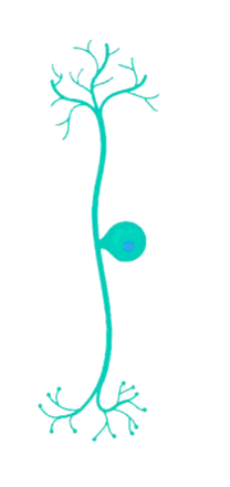 0600qd86-ff8f-208x440.png