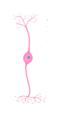 0600qd8x-f135-234x455.png