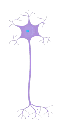 0600qd9b-7c35-216x444.png