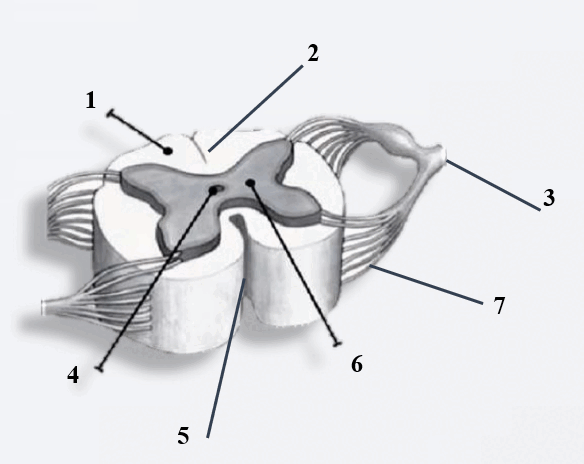 0600qe87-423f-584x464.png