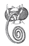 0600qeky-118d-99x157.png
