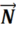 0600qfmf-18a6-16x33.png