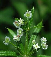 0600qhia-82c0-220x245.jpg