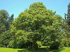 0600qj3q-6501-275x206.jpg