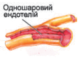 0600qm4c-d96a-169x120.png