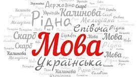 Прикметник. Тренувальний тест.