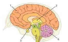 0600qzzz-429a-264x165.jpg